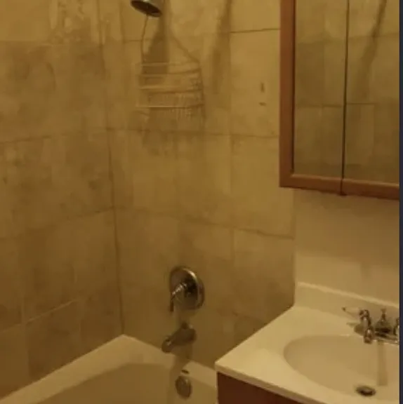 6542 S Cottage Grove Ave #1 — Photo 5
