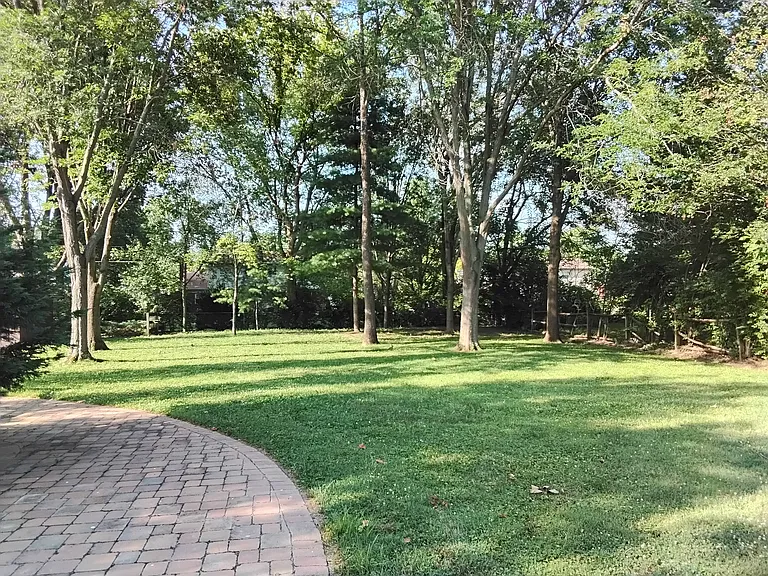 Backyard view