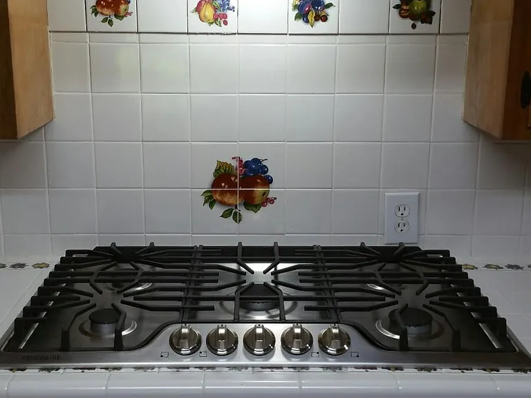 1010 Hopkins Dr — Photo 5