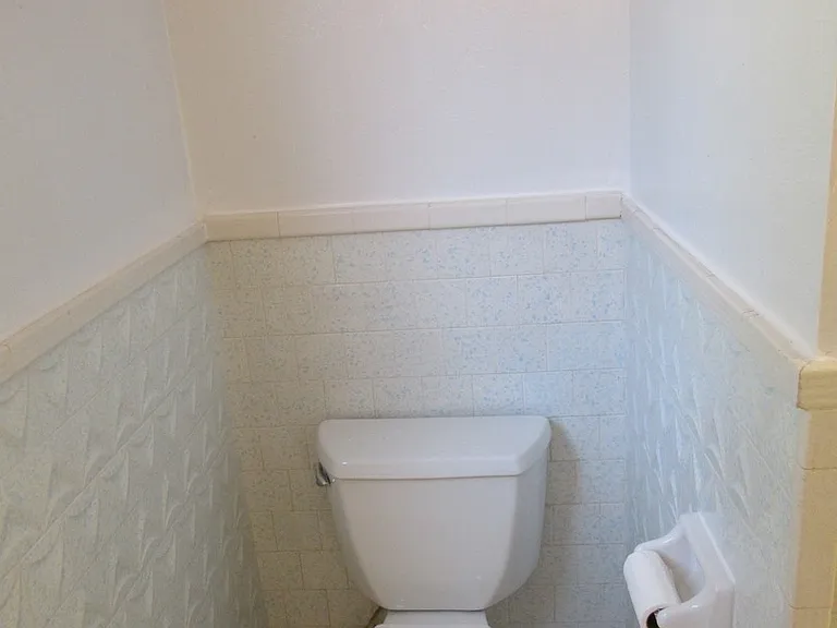 481 Hillview St — Photo 11