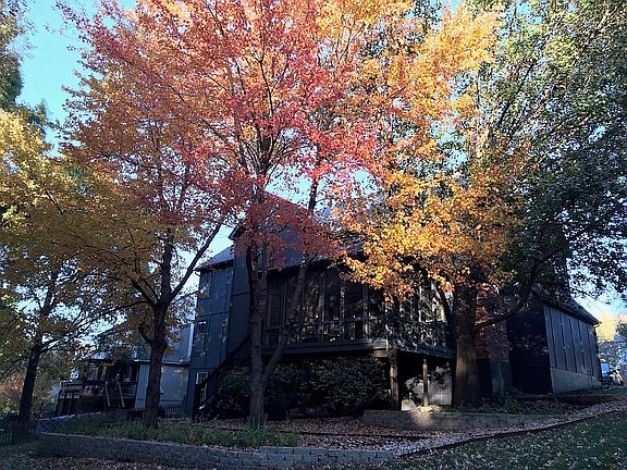 3rd image of 12220 Connell Dr