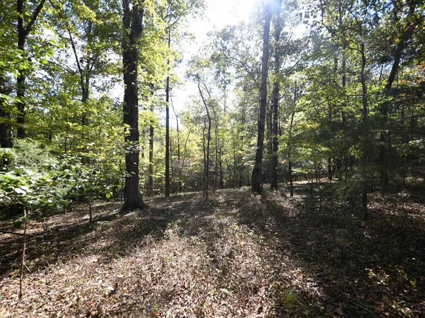 Polk Rd #675, Mena, AR 71953