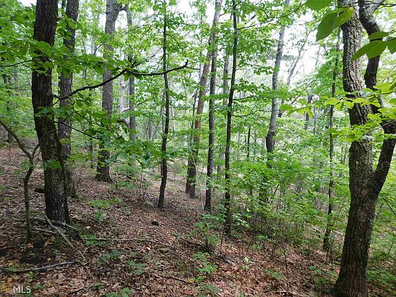 4th image of 0 Big Oak Dr Lot 11