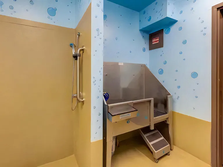 Dog Wash