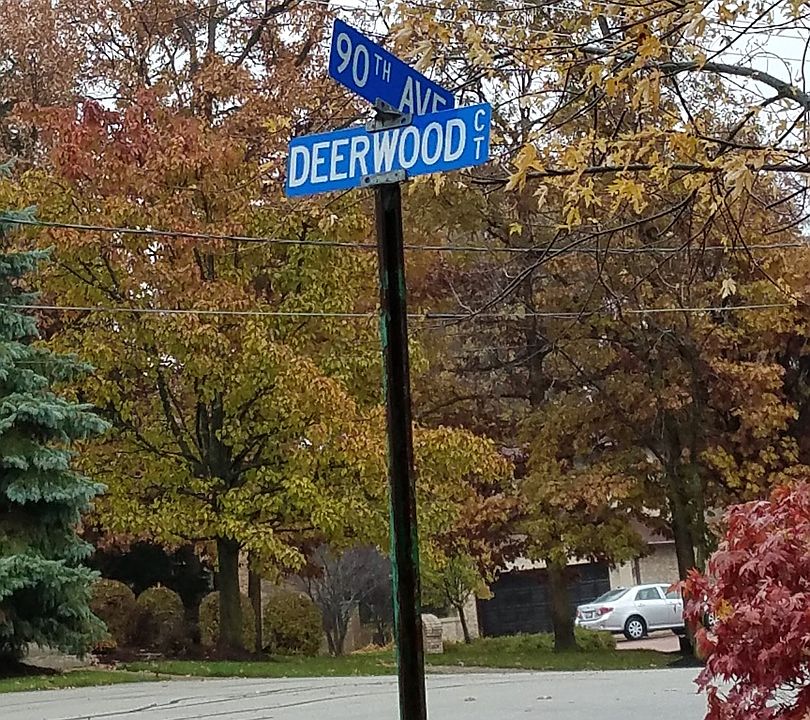 2nd image of 9012 Deerwood Ct