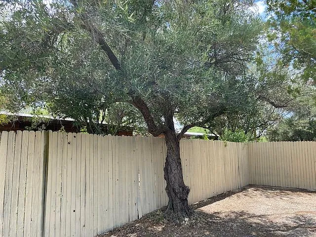 E Blacklidge Dr — Photo 33