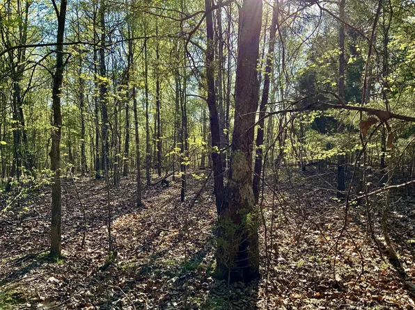 0 Pleasant Hill Rd Lot 3, Dover, TN 37058
