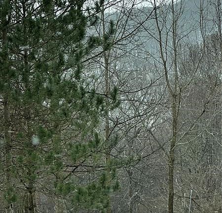 2nd image of 702 Shepherd Rd