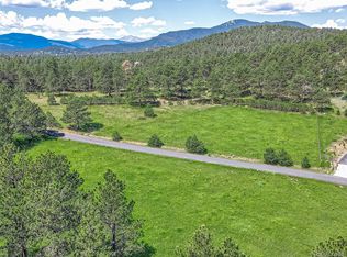 2117 Wieler Rd, Evergreen, CO 80439