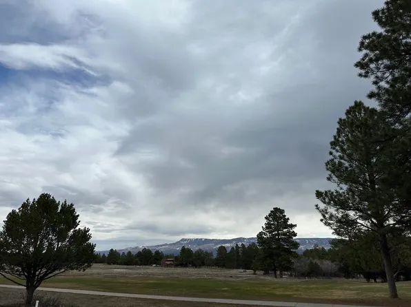Badger Trl S Lot V614, Ridgway, CO 81432