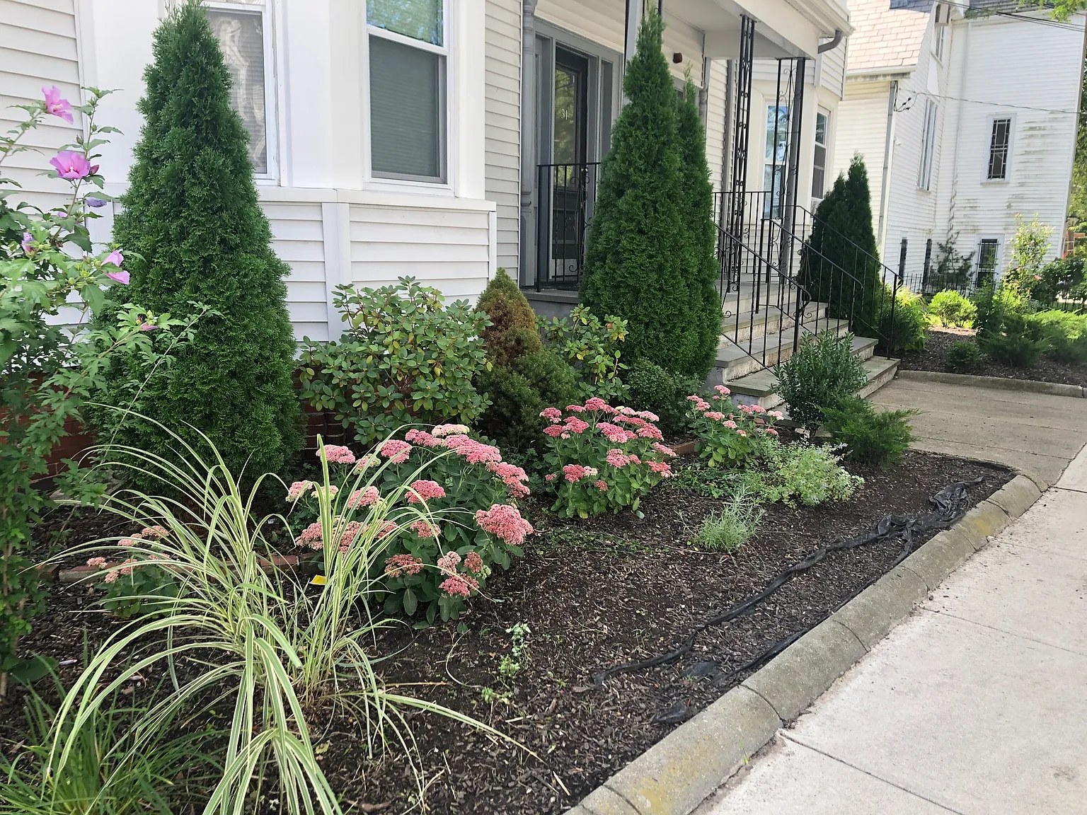 2 bed, 850 sqft, $3,300 — Photo 2