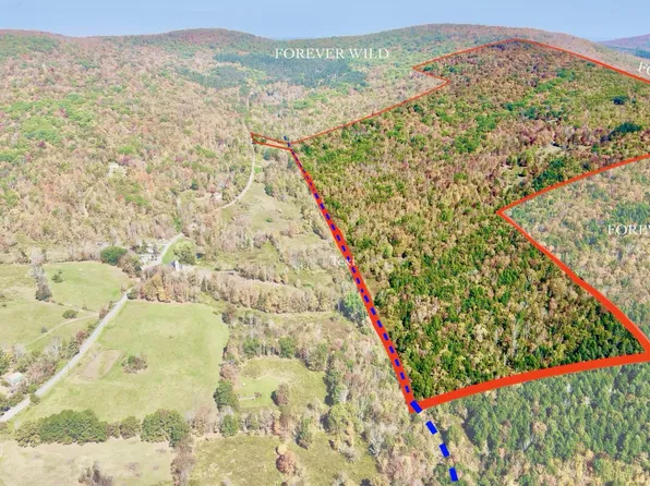 393 B G Partridge Rd, Windham, NY 12496