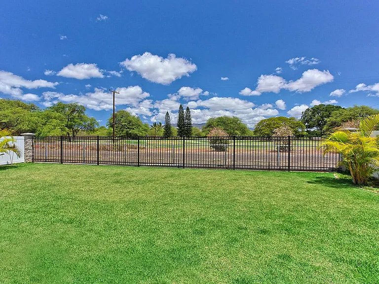 Backyard 3