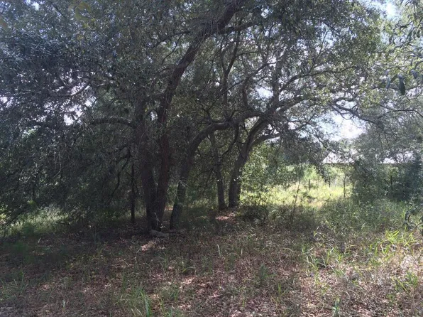 1015 Seminole Bear Trl, Pierson, FL 32180