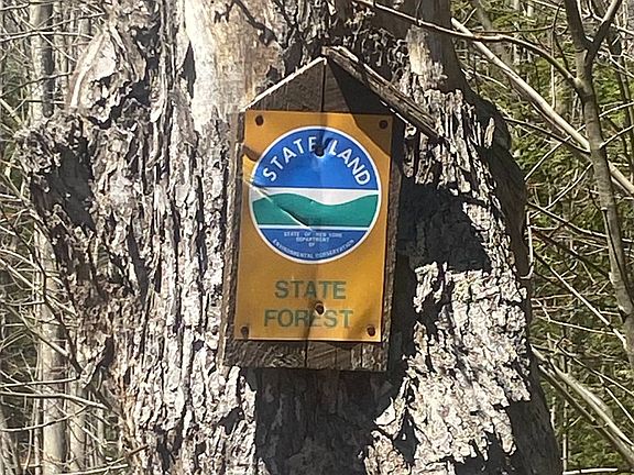 5th image of 0 Potter Mountain Rd #6