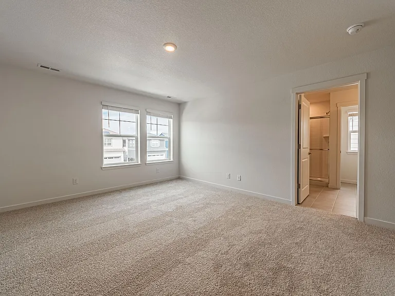 2285 Coyote Mint Dr — Photo 44