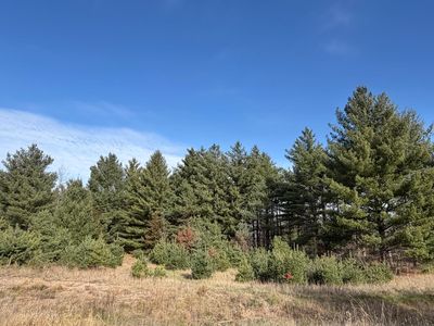 L8 262nd Ave NW, Big Lake, MN, 55309