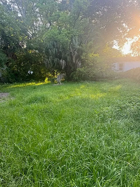 3 bed, 950 sqft, $1,000 — Photo 4