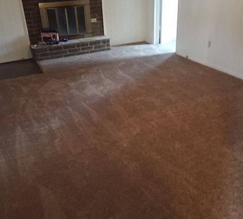 wood burning fireplace