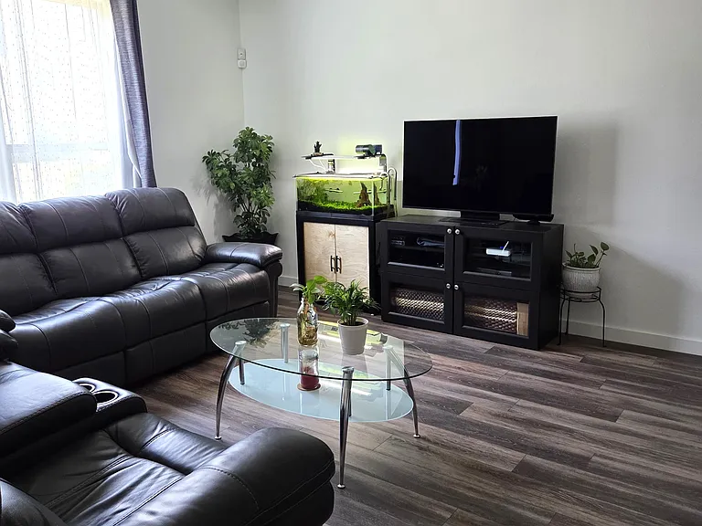 615 Collier Dr — Photo 5