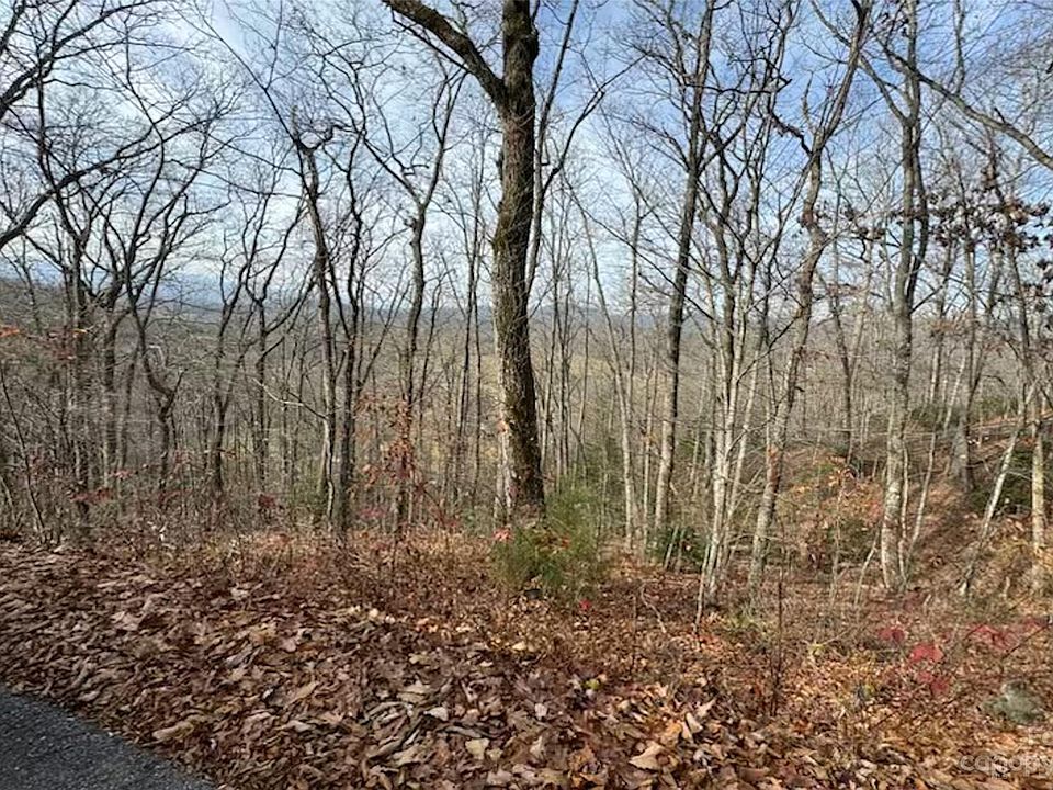 2nd image of 17 Franklin Farm Rd