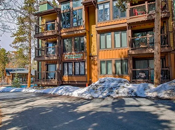 820 Columbine Rd #10, Breckenridge, CO 80424
