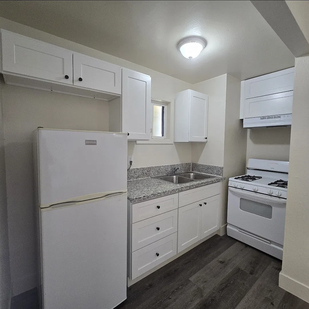 1 bed, 490 sqft, $1,095 — Photo 3