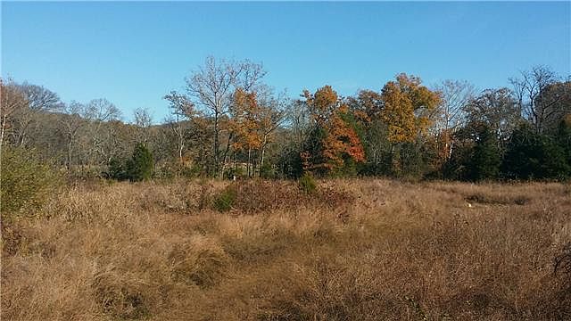 2nd image of 593 McElroy Rd
