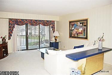 3rd image of 1012 Bunker Dr APT 201