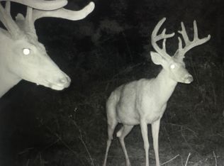 20989-21179 Highway B, Cole Camp, MO 65325