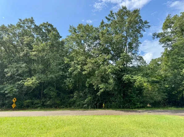 0 Harris St, Pine Mountain, GA 31822