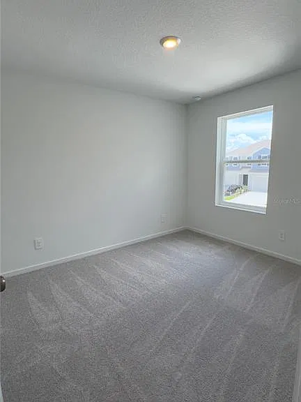 831 Lynx — Photo 15