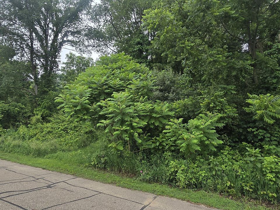 1st image of Lakefront Dr