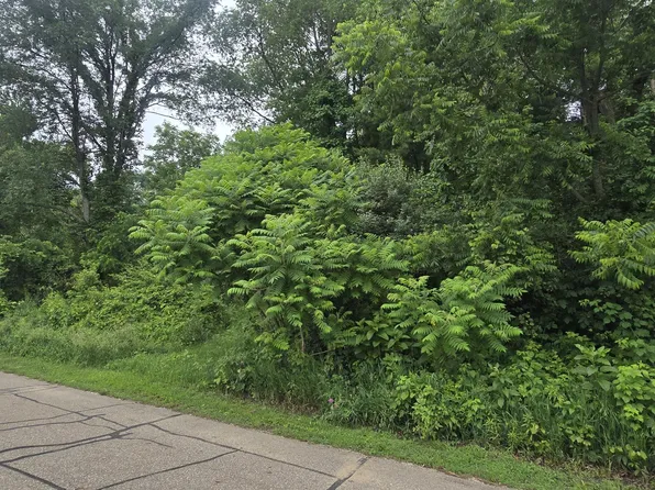 Lakefront Dr, Delton, MI 49046
