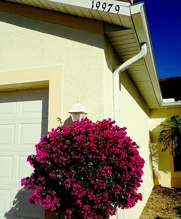 2nd image of 19979 Estero Verde Dr