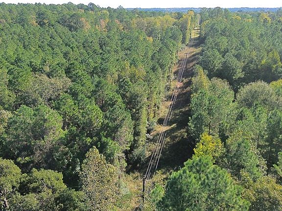 4th image of PARCEL 11405 County Road 2265