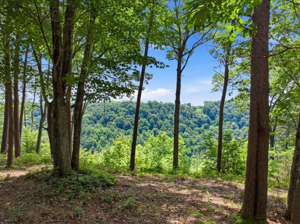 321 Timberwood Trce Lot 321, Monteagle, TN 37356