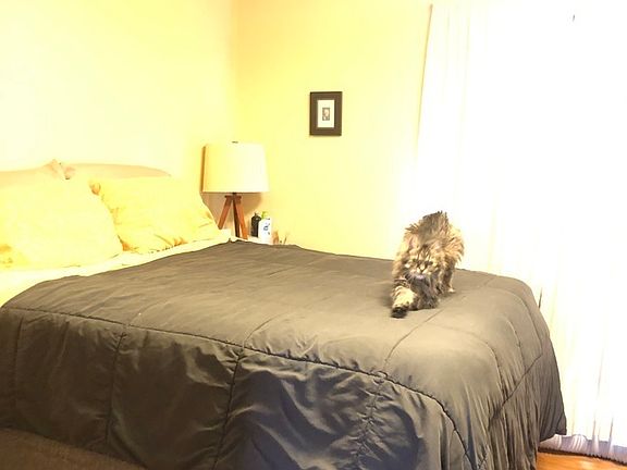 5th image of 150 N Grant St #1