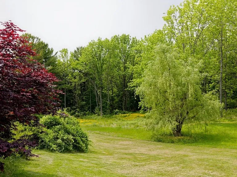 Right side yard view from front lawn