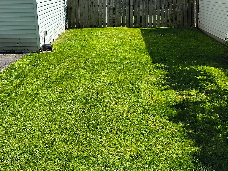 4504 Beta Ave #4504 — Photo 17