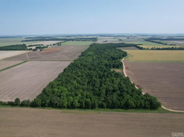 72.49 Acres Hwy #228, Bono, AR 72416