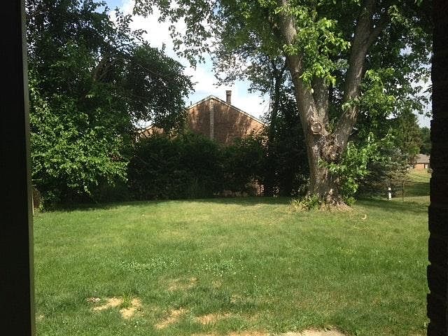 Fenced in Backyard