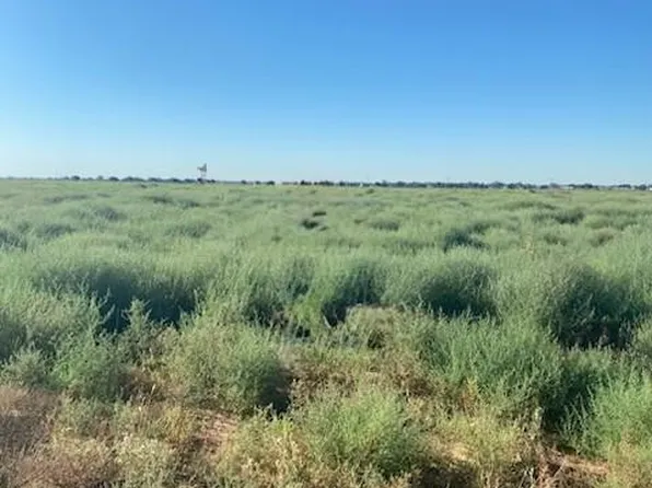 7001 County Road 6000, Shallowater, TX 79363