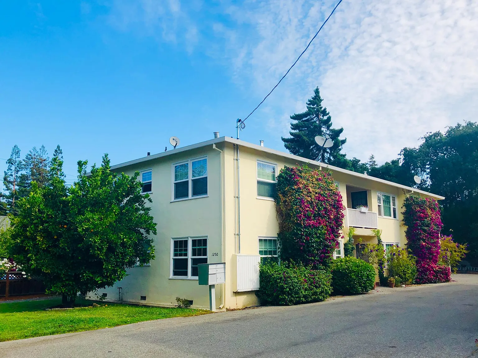 1250 Mills St — Photo 3