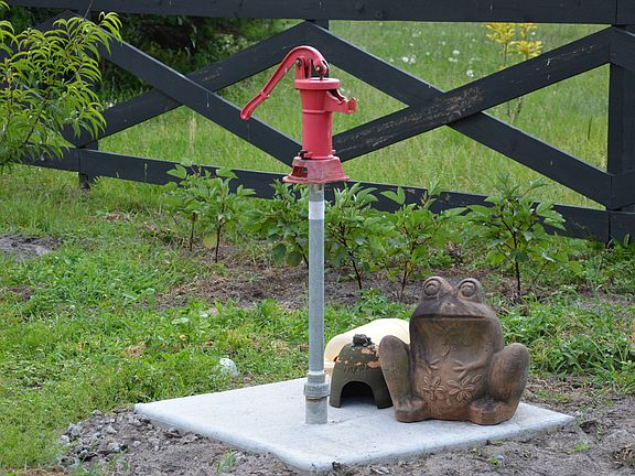 Working water hand pump