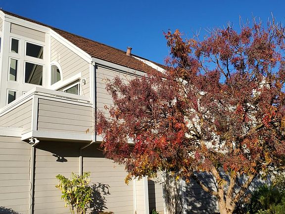 2nd image of 2956 Del Loma Dr