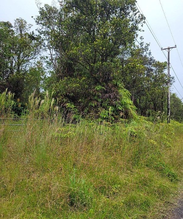 2nd image of 11-2335 Jungle King Ave Lot 9