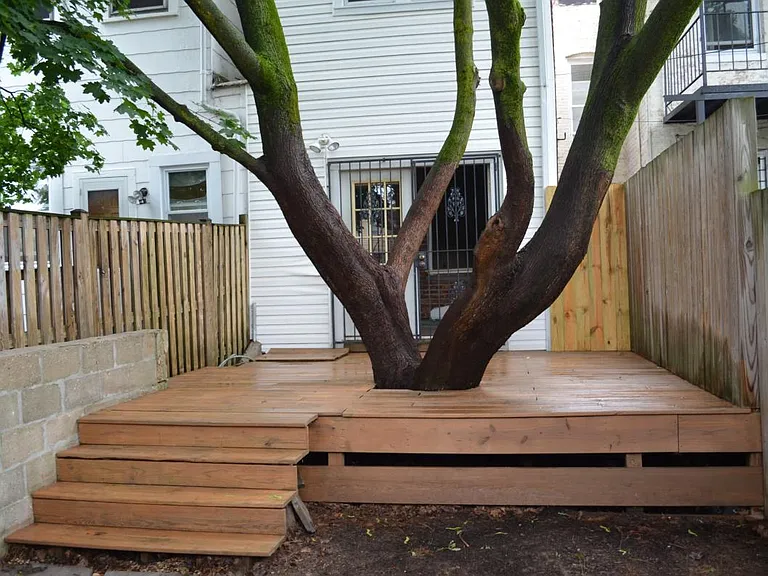 Brand new deck and scenic tree