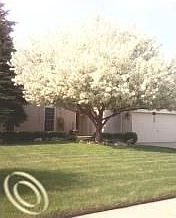 1st image of 3748 Mount Vernon Dr