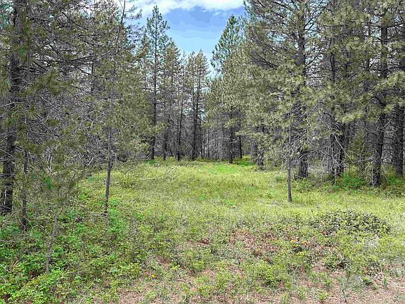 2nd image of Xxx N Division Rd